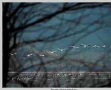 天博体育官网首页-清晨突围战来临,马赛围绕社区盾更衣室发声,压力陡增,高层口径保持一致